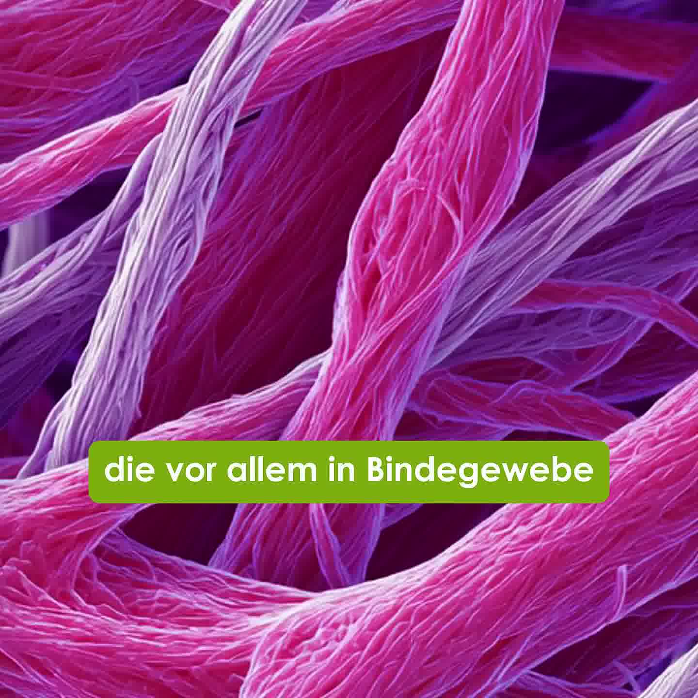 Stärke deine Haut, Knochen und Gelenke!