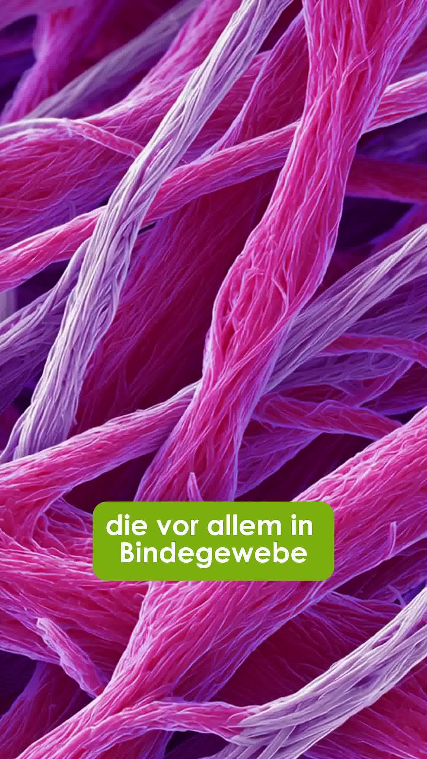 Stärke deine Haut, Knochen und Gelenke!