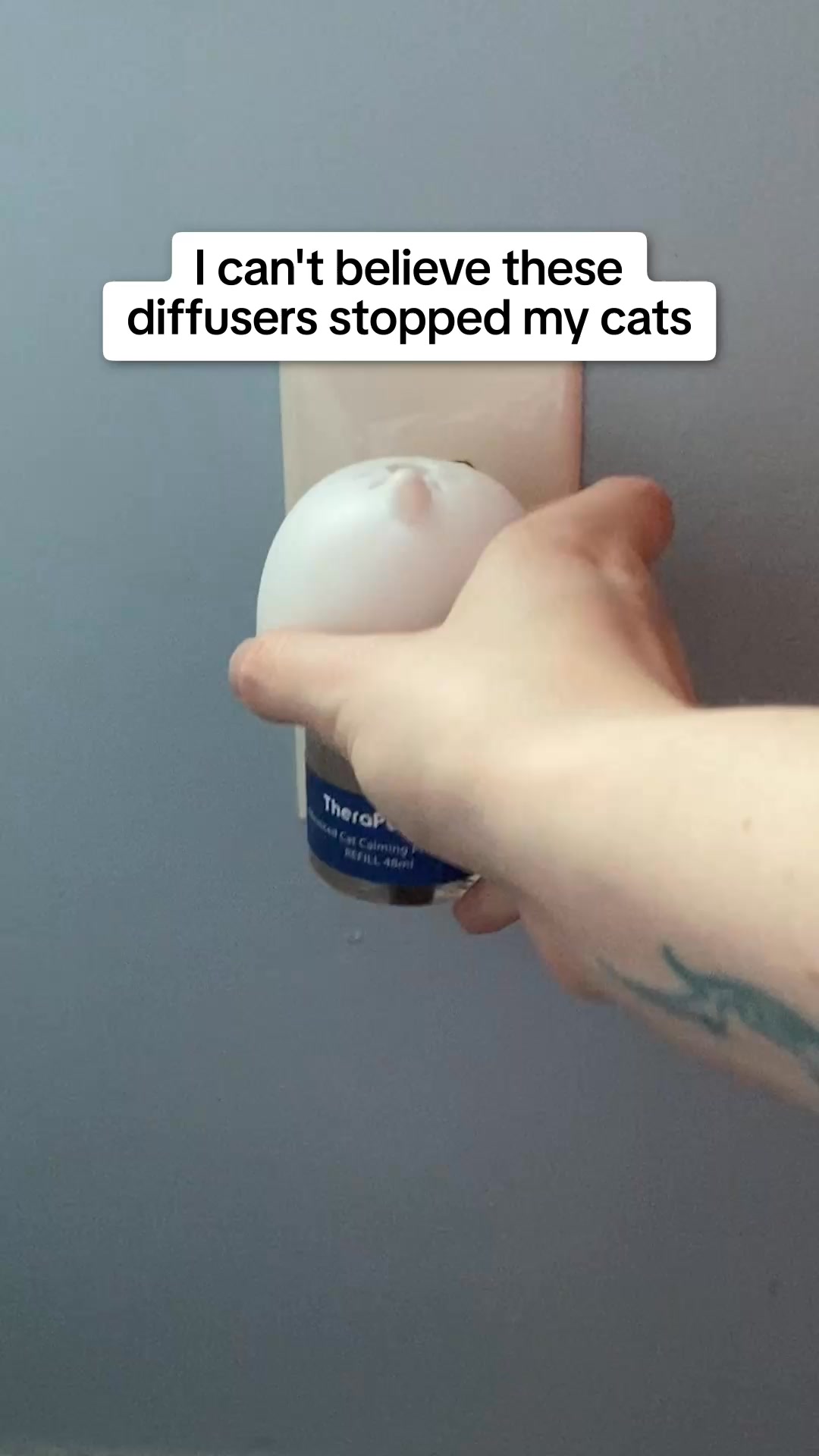 Why You Shouldn't Ignore These Cat Behaviors!