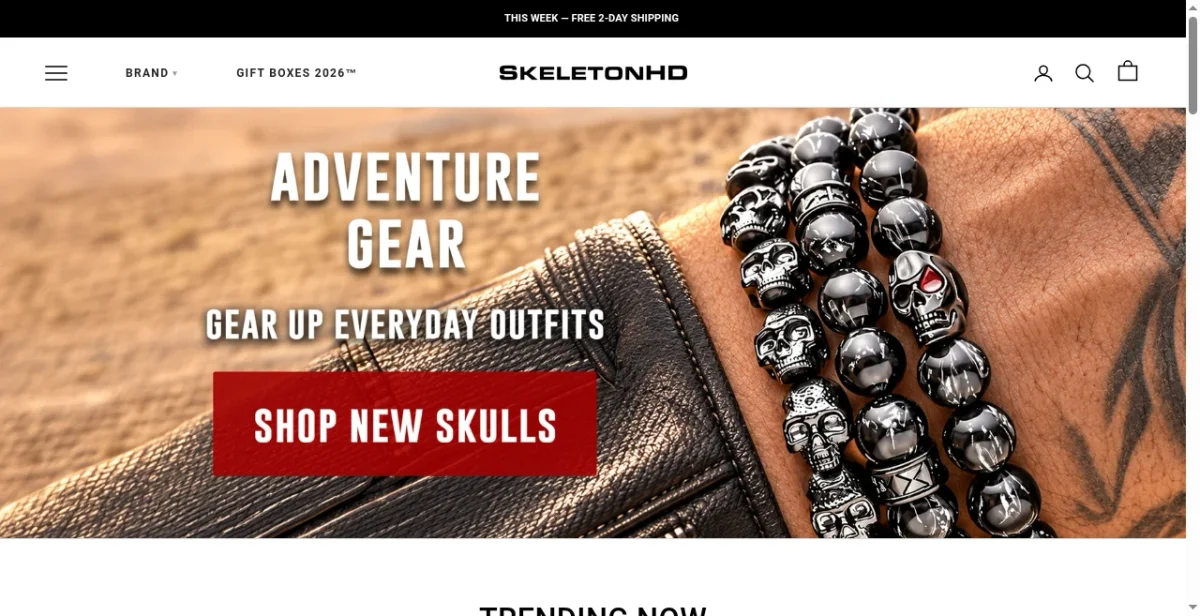 How SkeletonHD Gets 54K/Mo ($208K Revenue... | Brandsearch