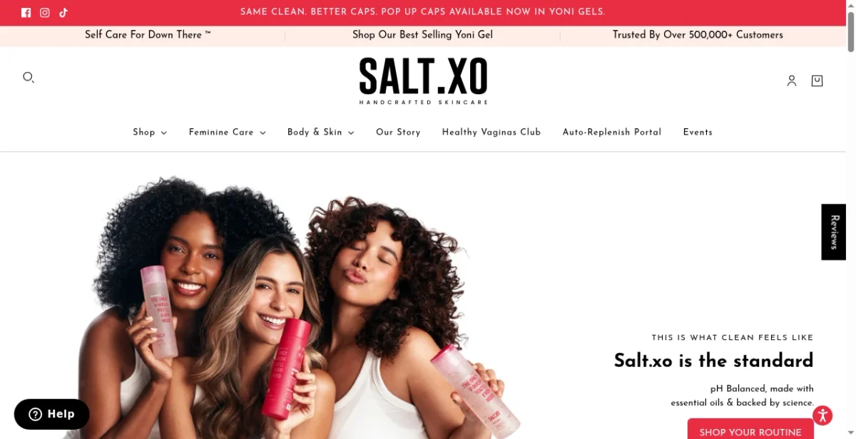 Salt.xo: 90K Visits/Mo, $399K Revenue... | Brandsearch