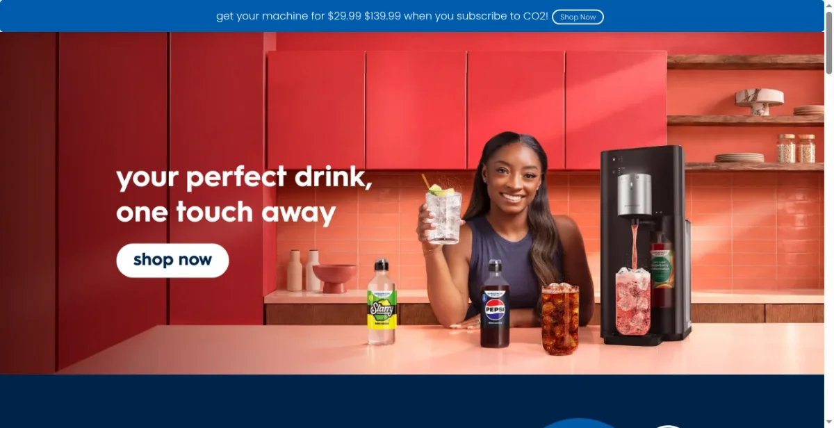 SodaStream: 1.1M Visits/Mo, $6.5M Revenue... | Brandsearch