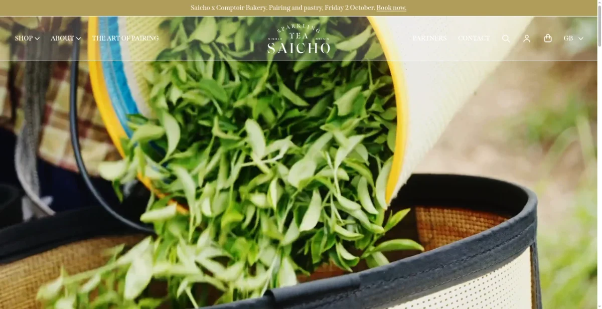Saicho: 30K Visits/Mo, £125K Revenue Breakdown | Brandsearch
