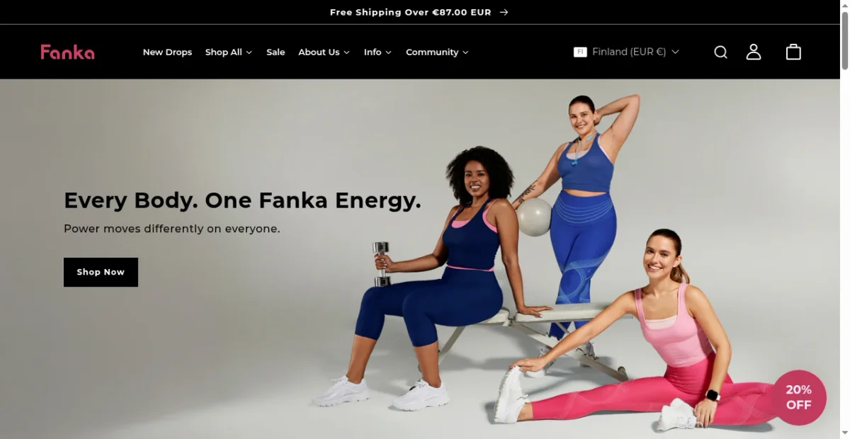 Fanka Success: 581K Traffic & $2.3M... | Brandsearch