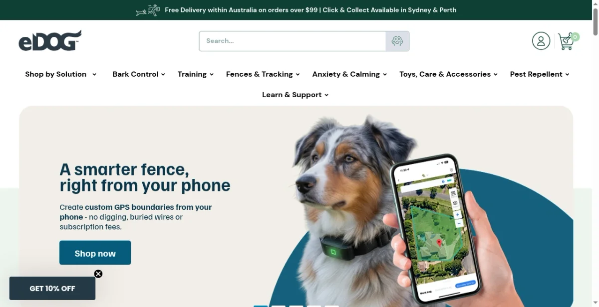 eDog Australia Success: 19K Traffic &... | Brandsearch