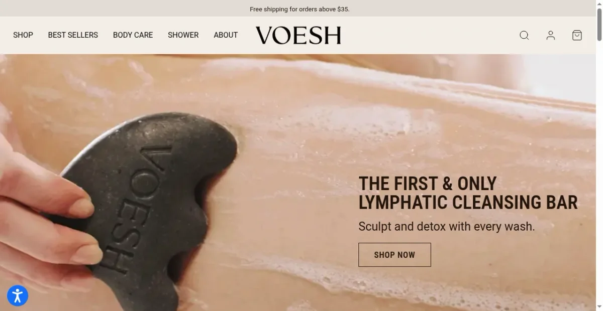 VOESH Success: 10K Traffic & $45K Revenue Data | Brandsearch