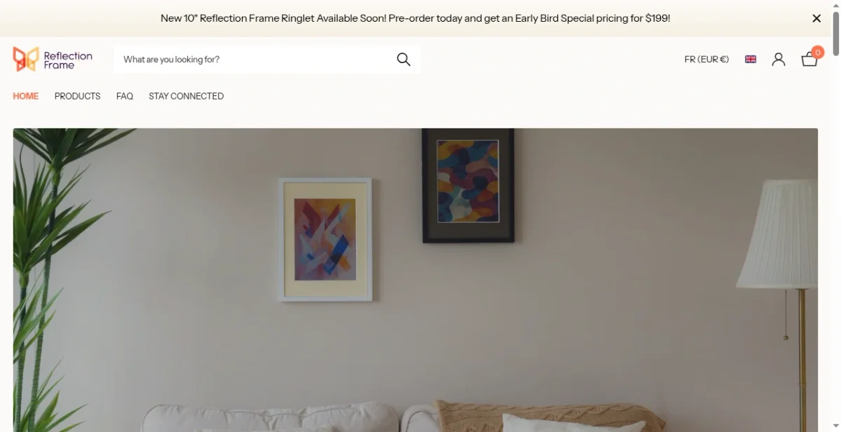 Reflection Frame Success: 21K Traffic &... | Brandsearch