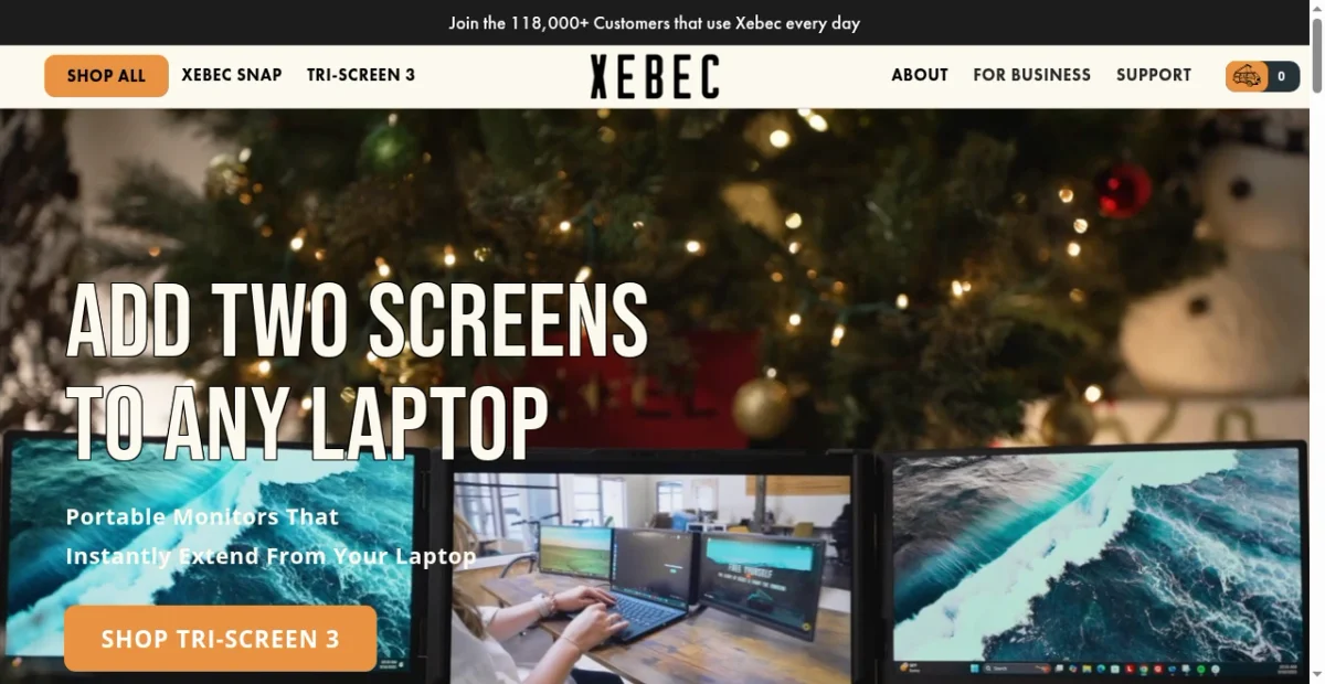 Xebec Success: 47K Traffic & $253K Revenue... | Brandsearch