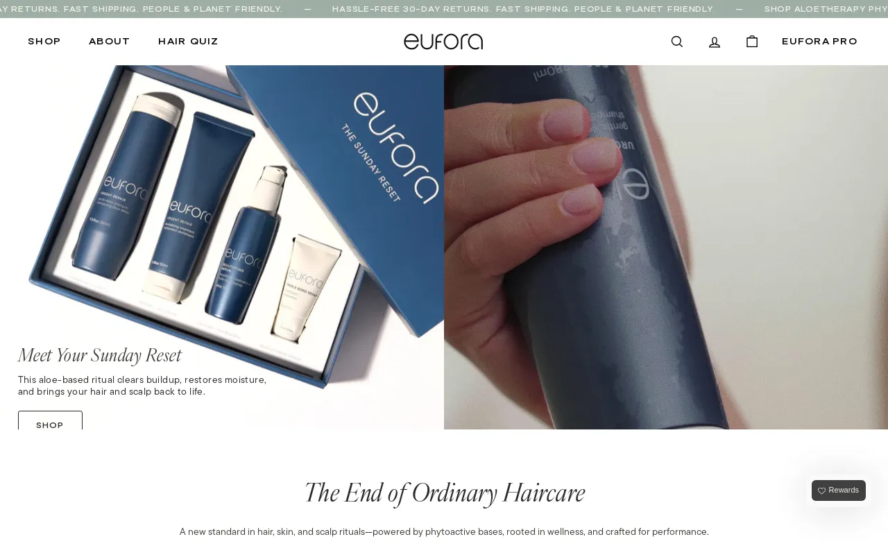 Eufora International screenshot