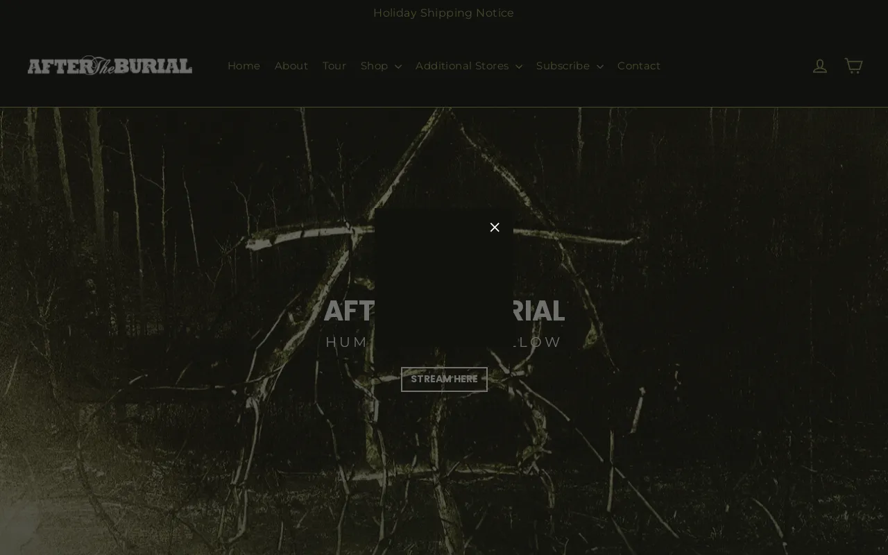 After The Burial website screenshot