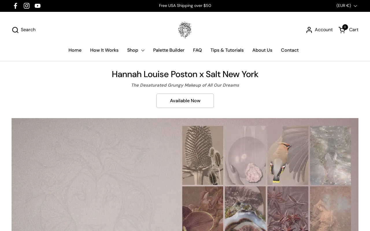 Salt New York screenshot