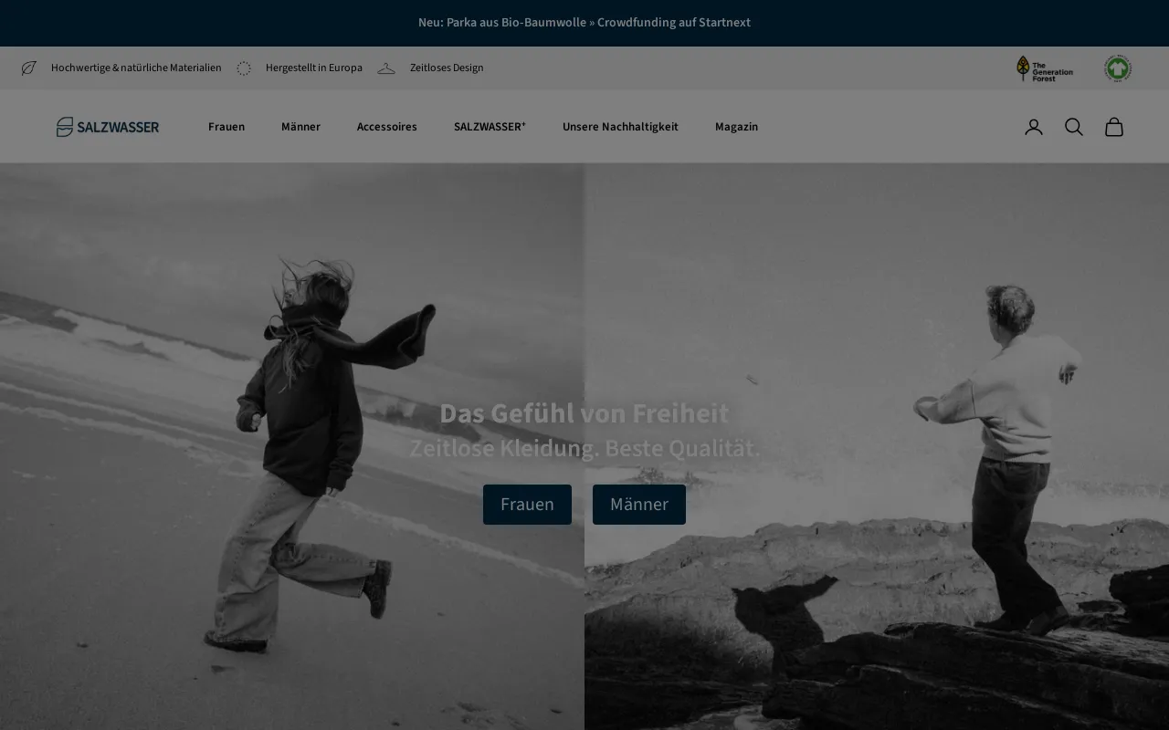 SALZWASSER screenshot