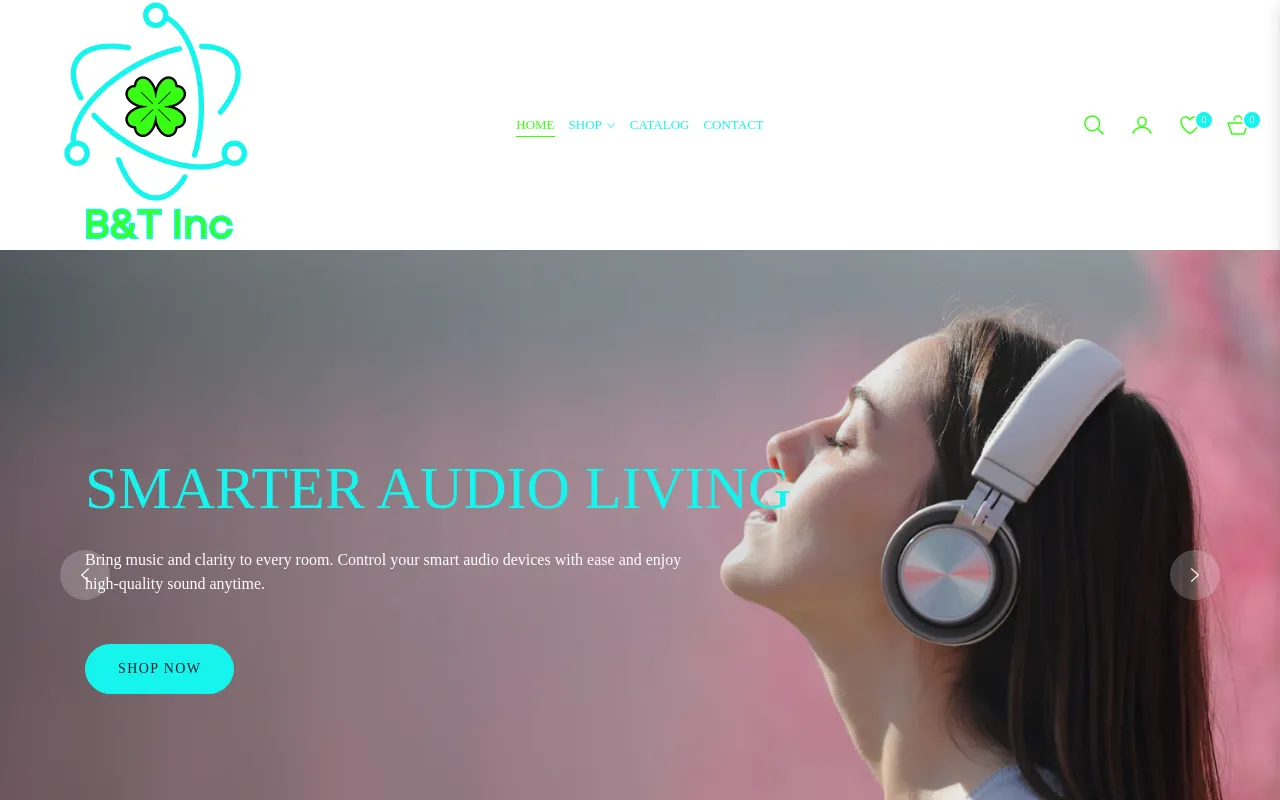 bandtinc website screenshot