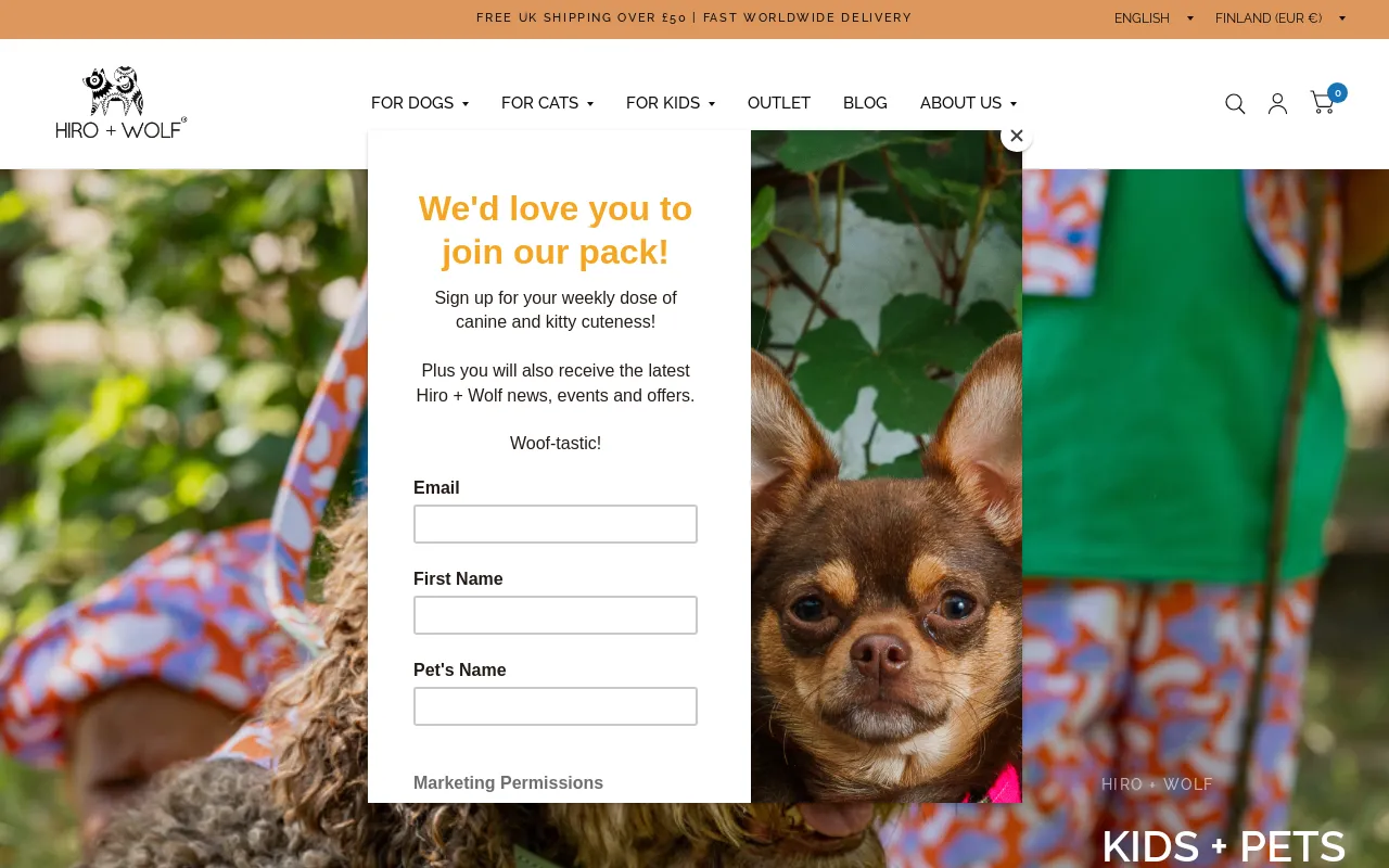 Hiro + Wolf website screenshot