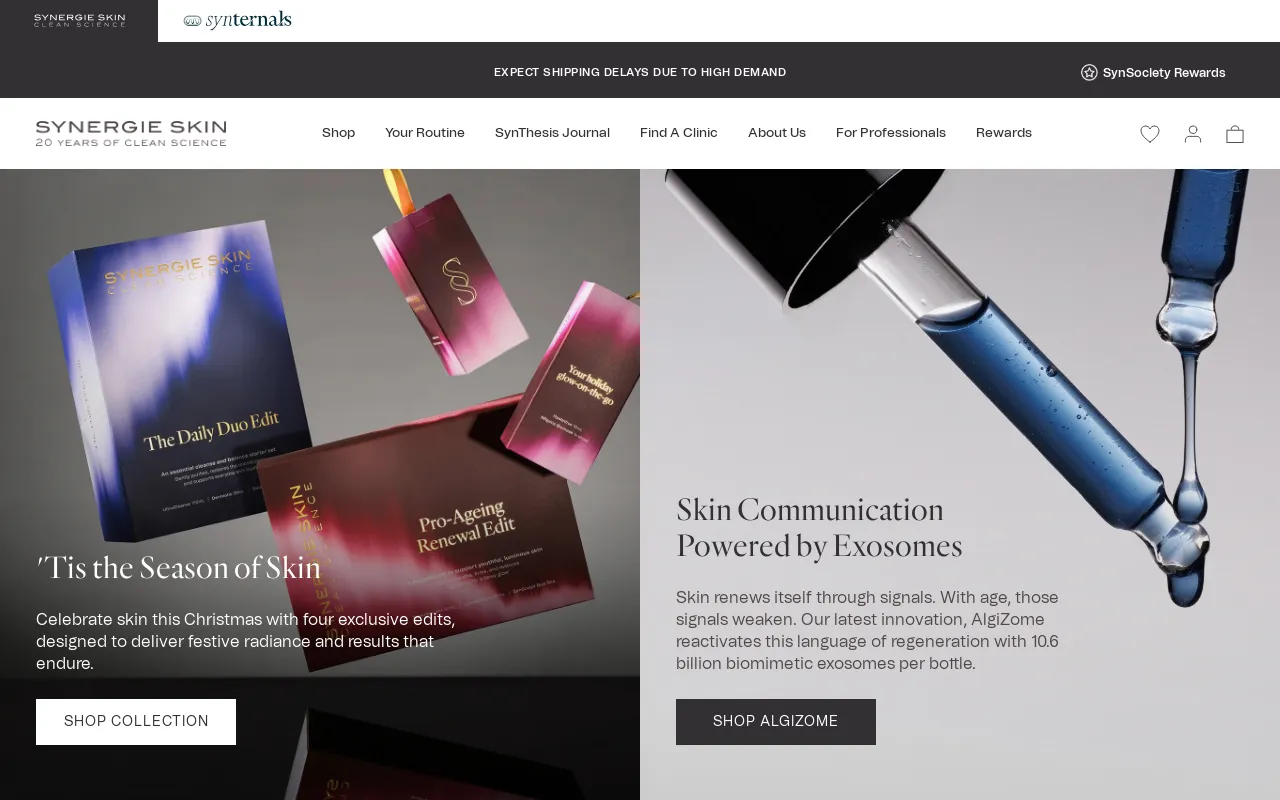 Synergie Skin screenshot