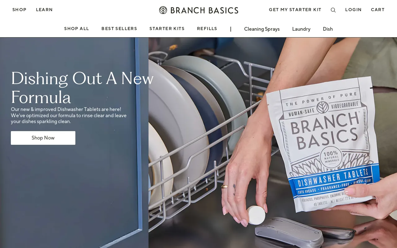 Branch Basics screenshot