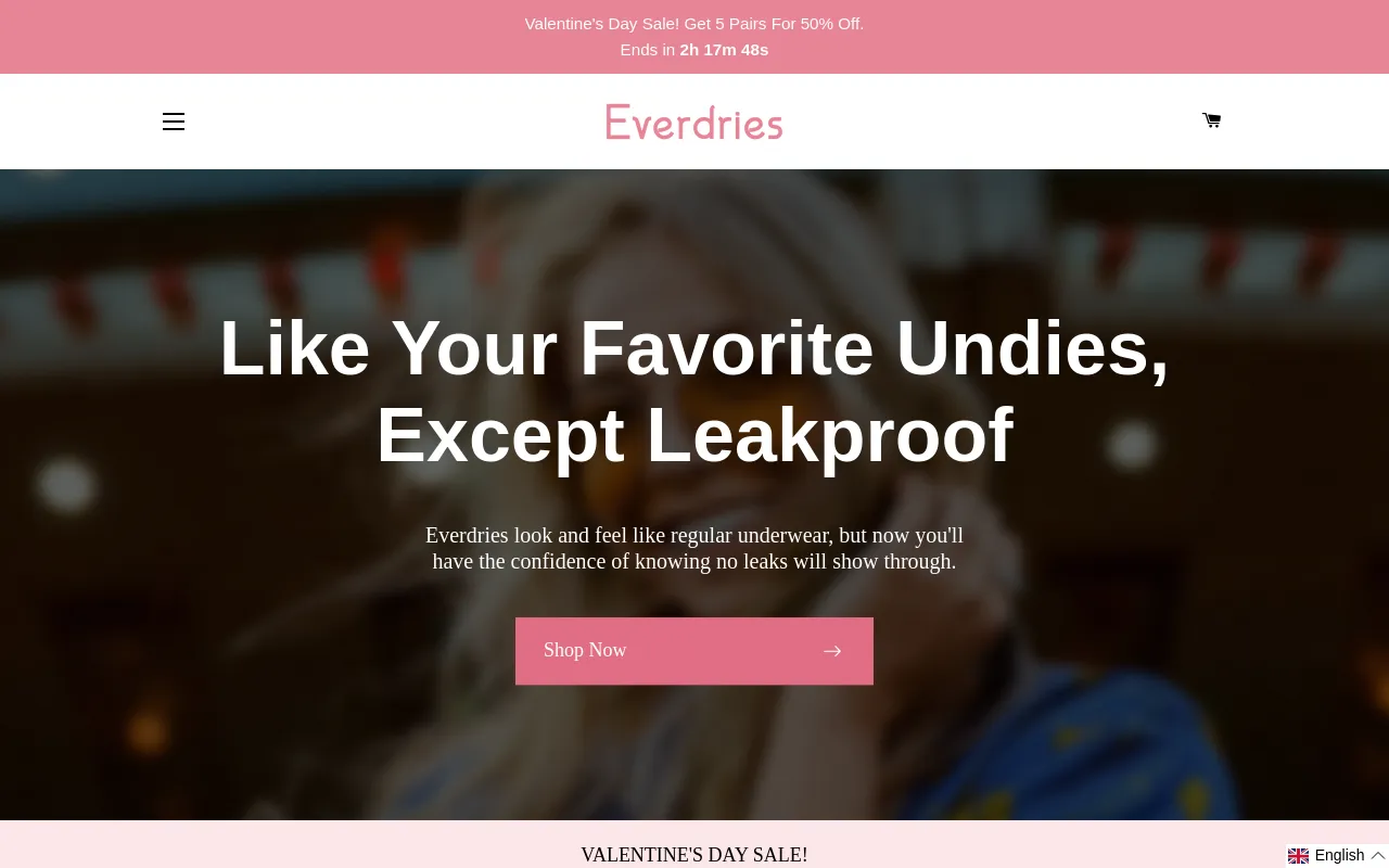 Everdries International screenshot