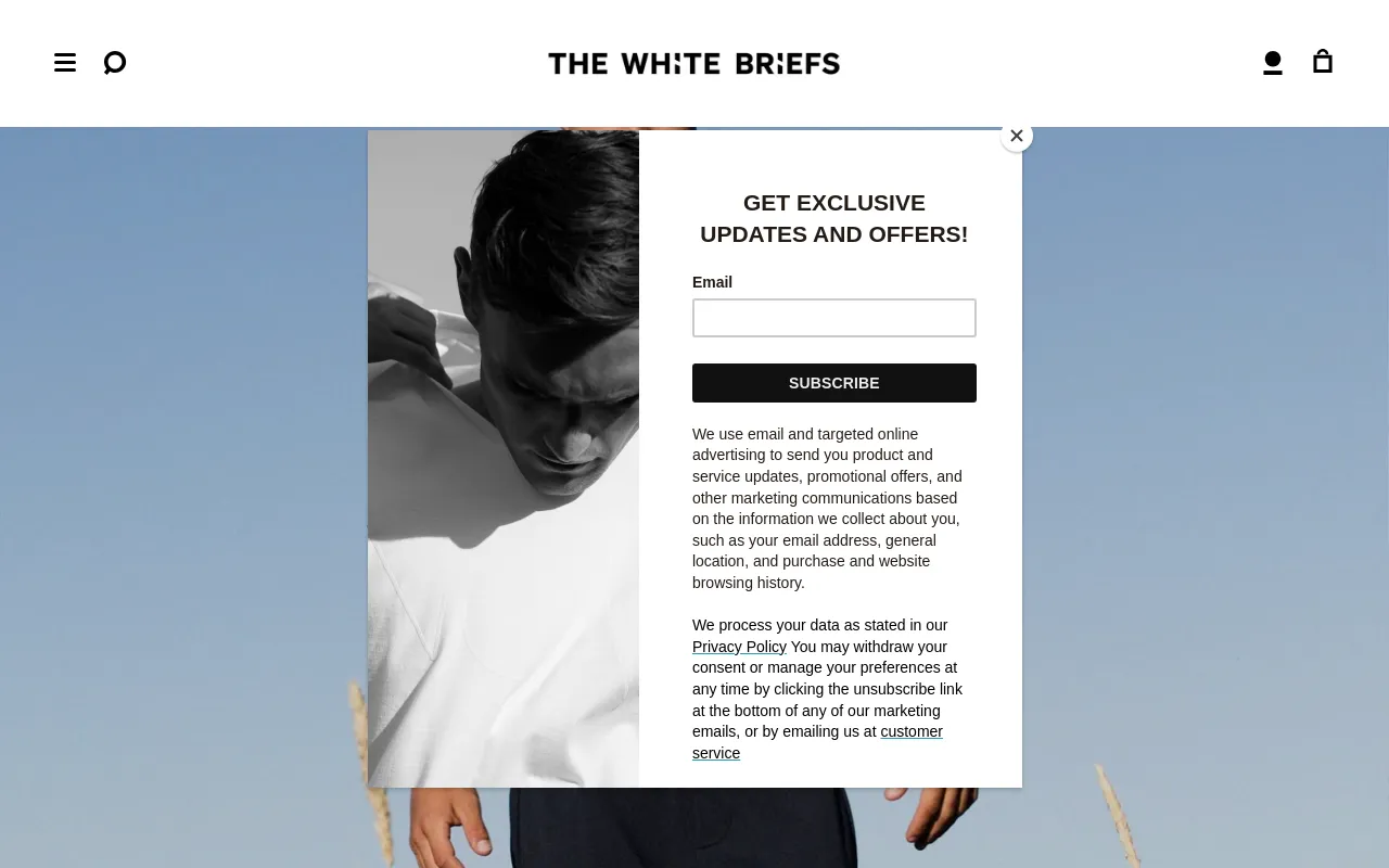 The White Briefs screenshot