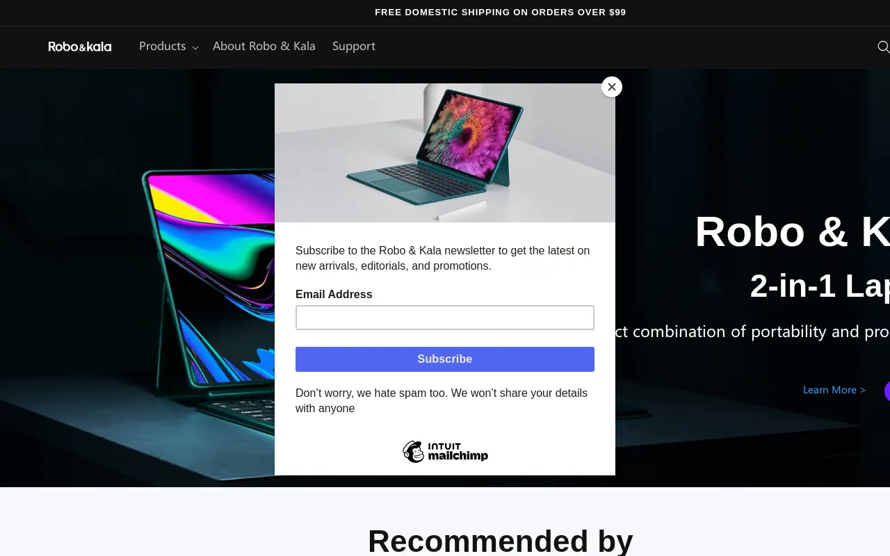 Robo & Kala website screenshot