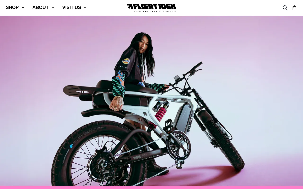 Flight Risk screenshot