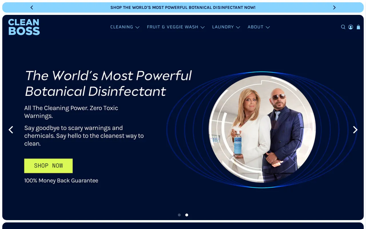 CleanBoss screenshot