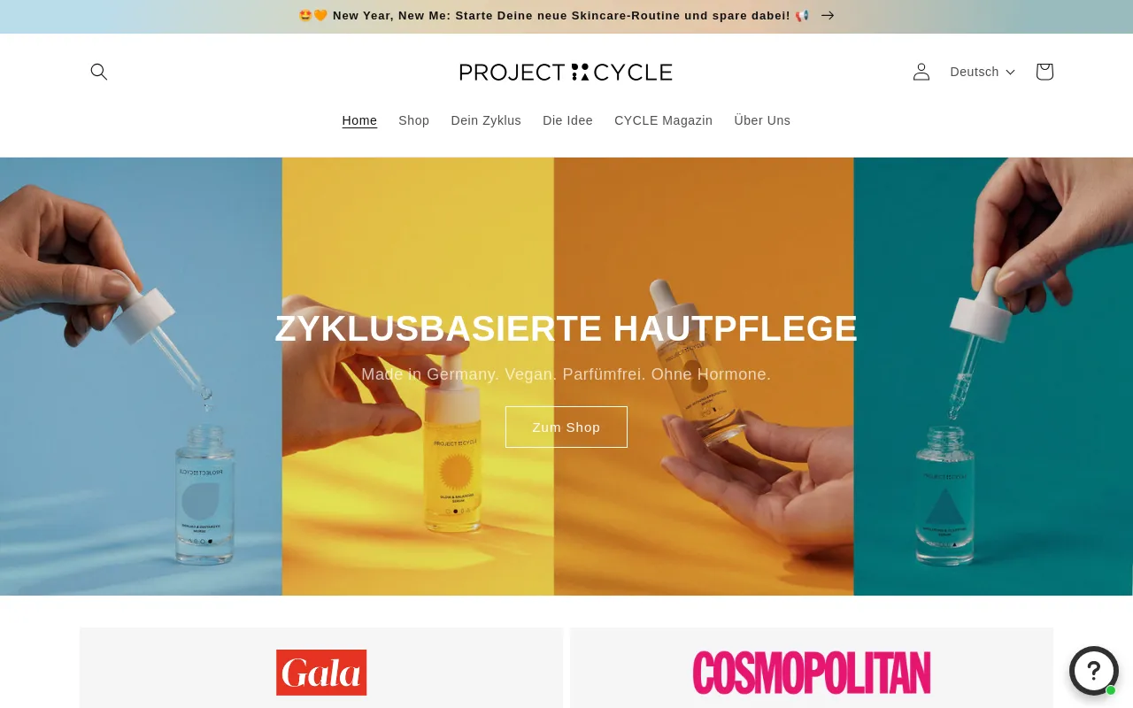 PROJECT CYCLE screenshot