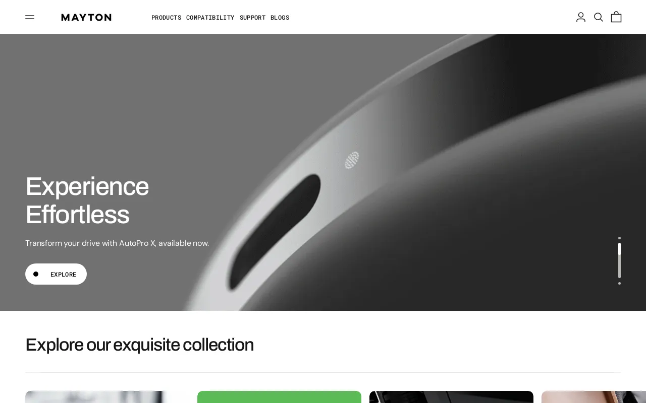 Mayton Corporation screenshot