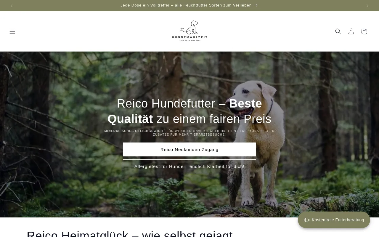 Reico screenshot