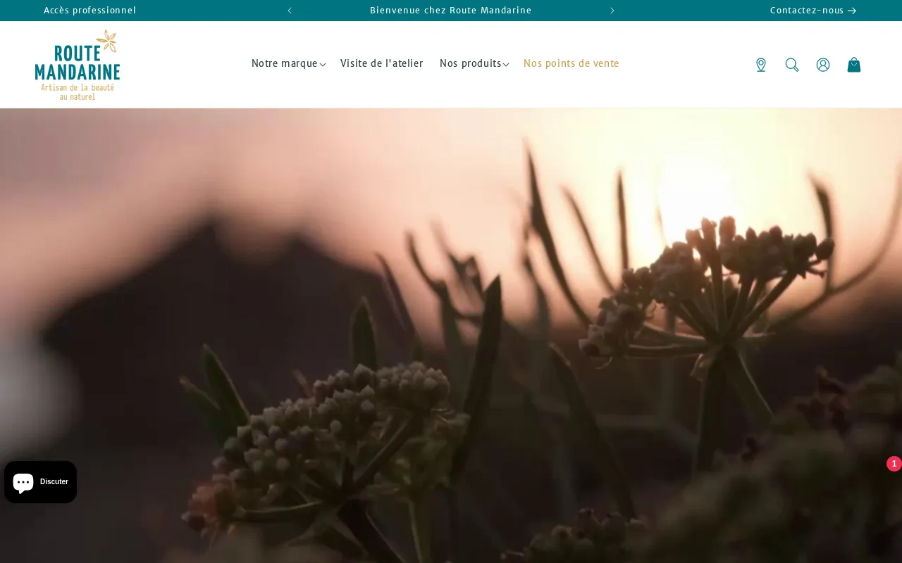 Route Mandarine screenshot