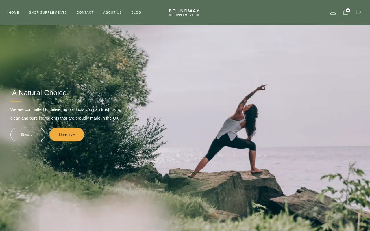 Roundway Supplements screenshot