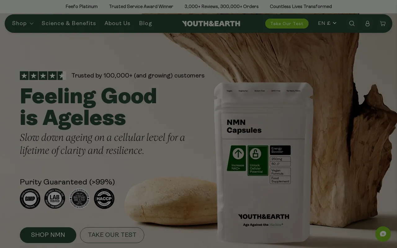 Youth & Earth screenshot