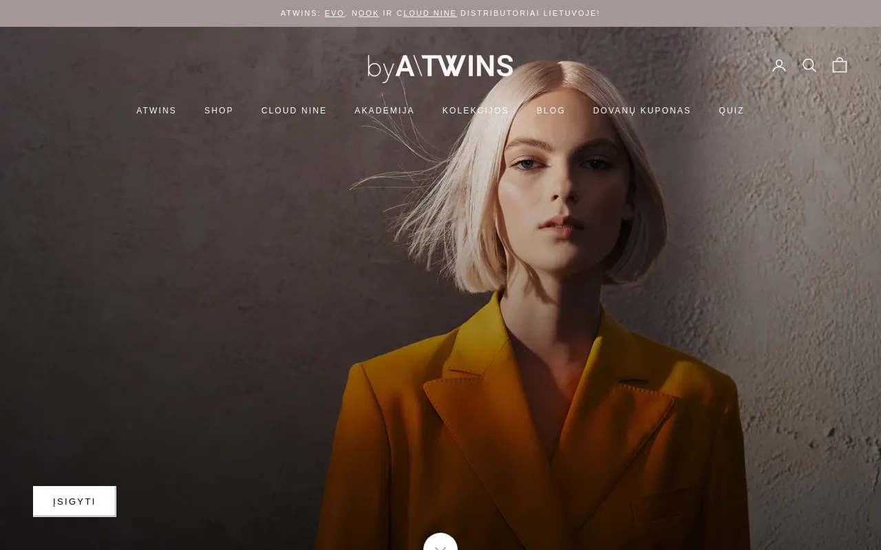 Atwins screenshot