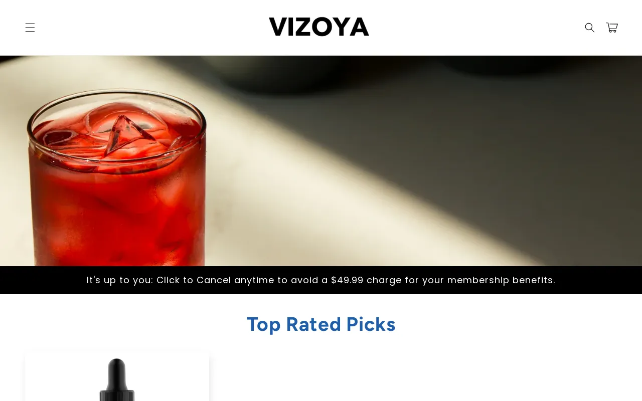 Vizoya screenshot