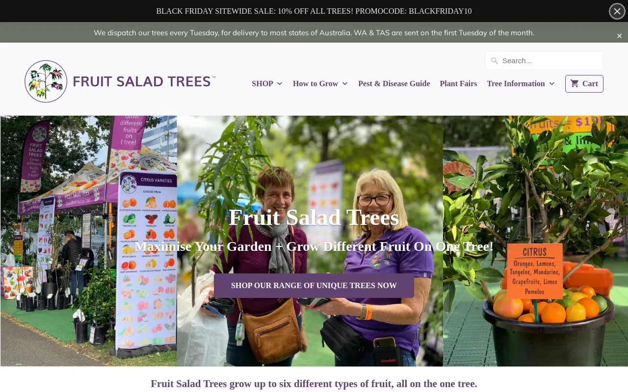 Fruit Salad Trees screenshot