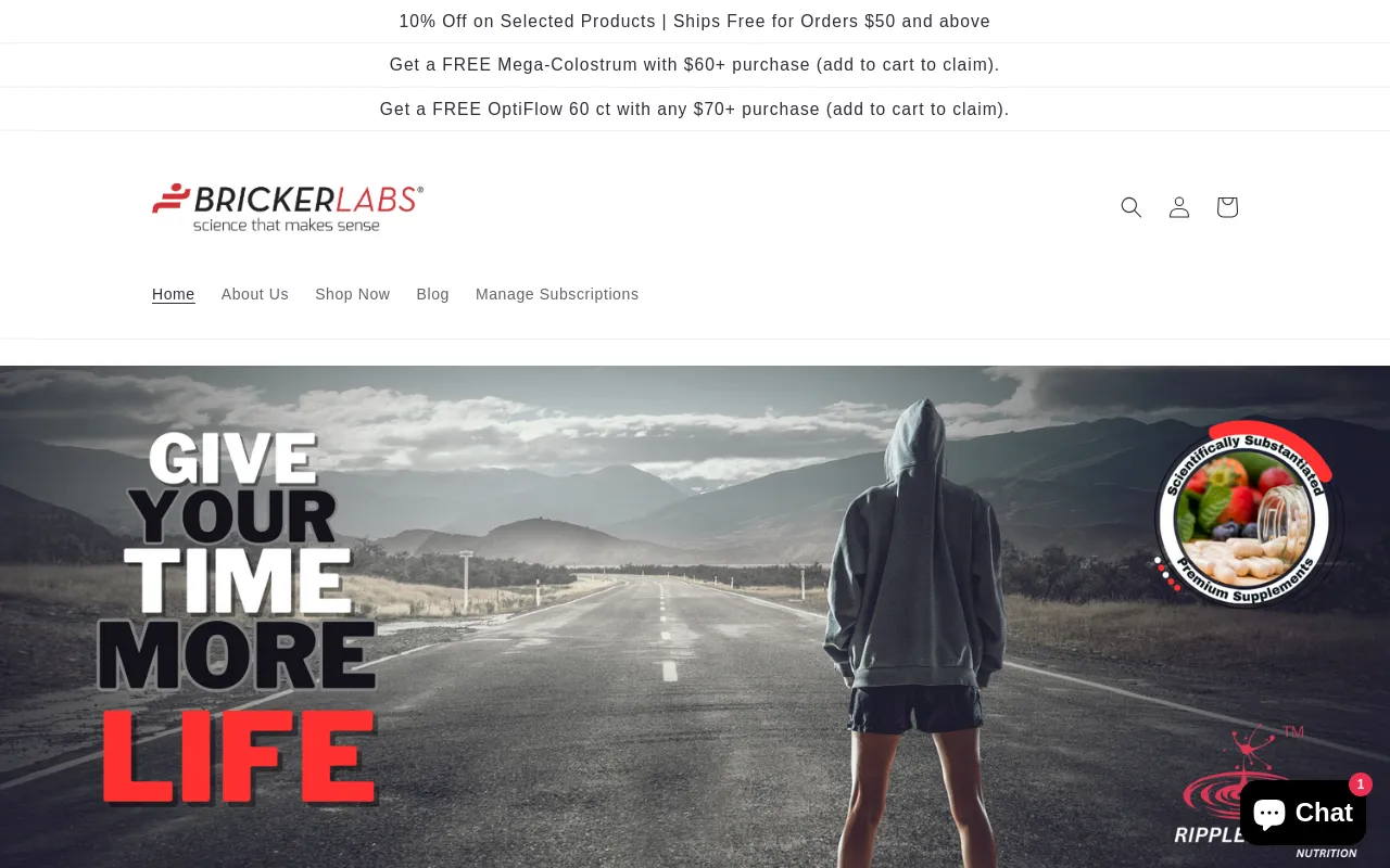 brickerlabs.com screenshot