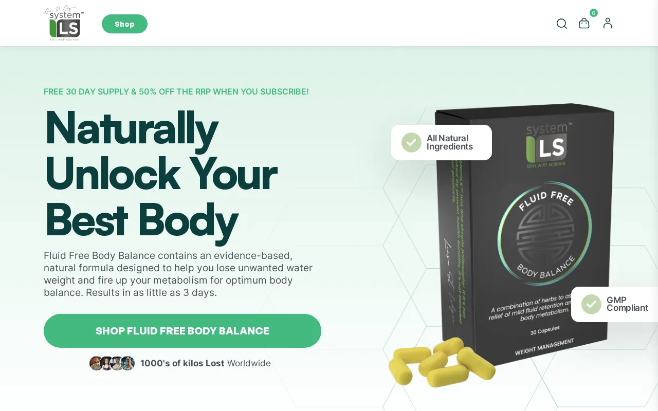 system-ls website screenshot