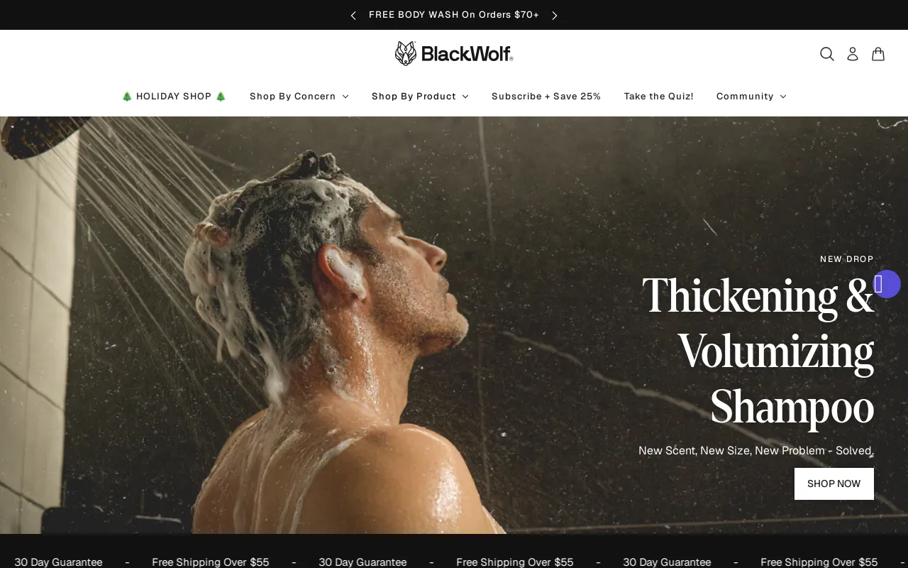 Black Wolf screenshot