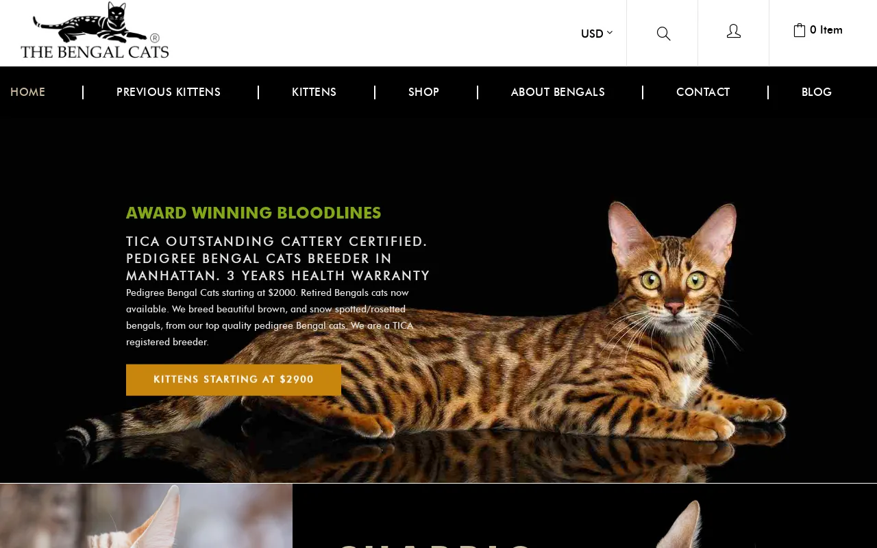 Bengal Kittens for sale screenshot