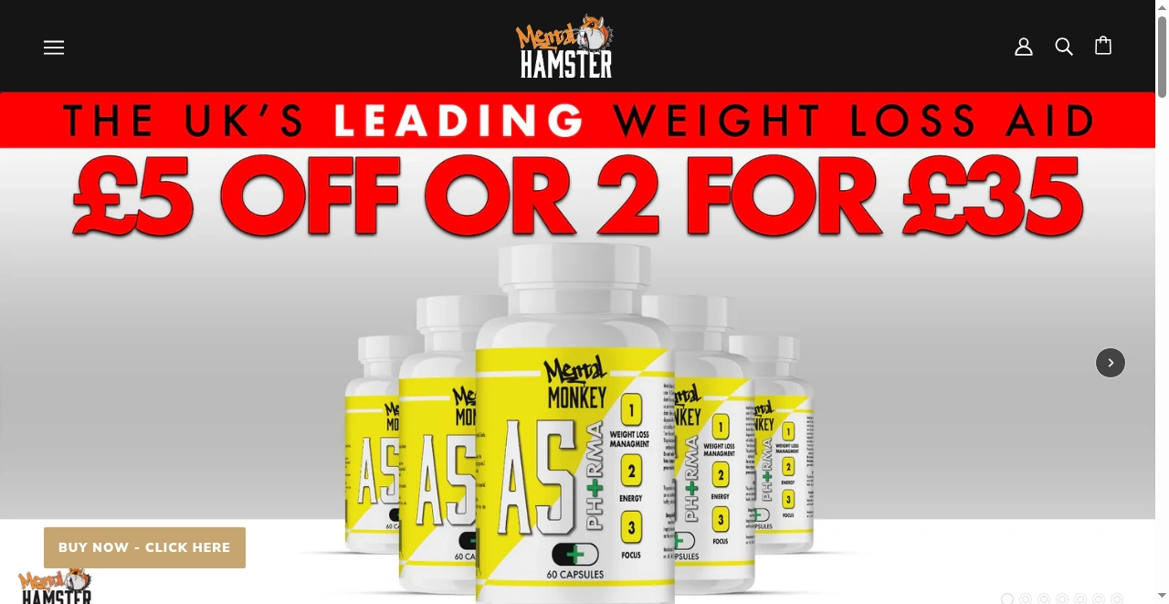 Mental Hamster screenshot