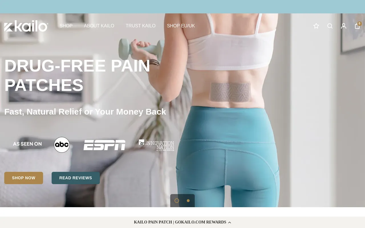 Kailo Pain Patch | Gokailo.com screenshot