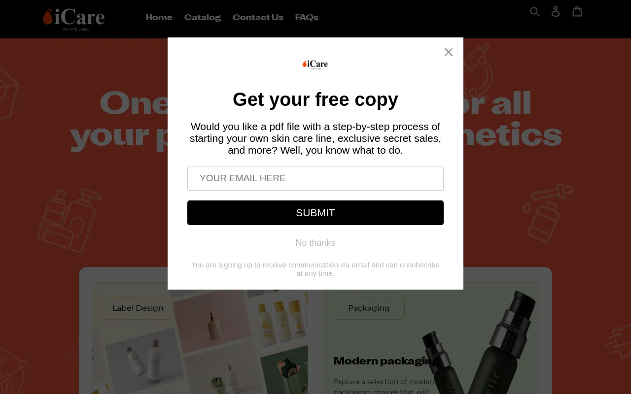 icarepl.com website screenshot