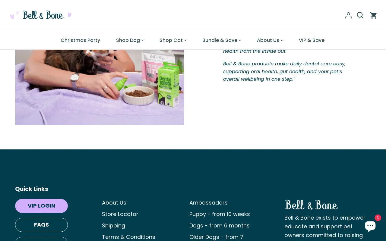 Bell and Bone screenshot