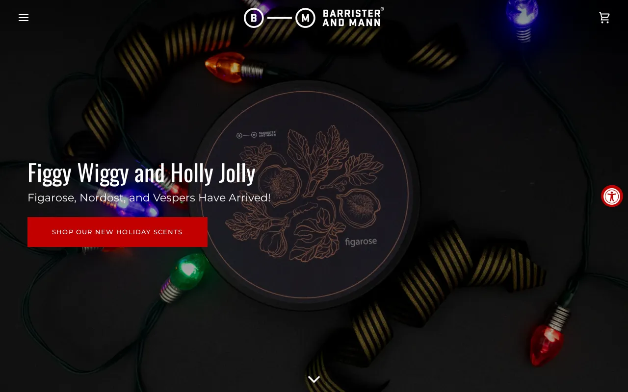 Barrister and Mann LLC screenshot