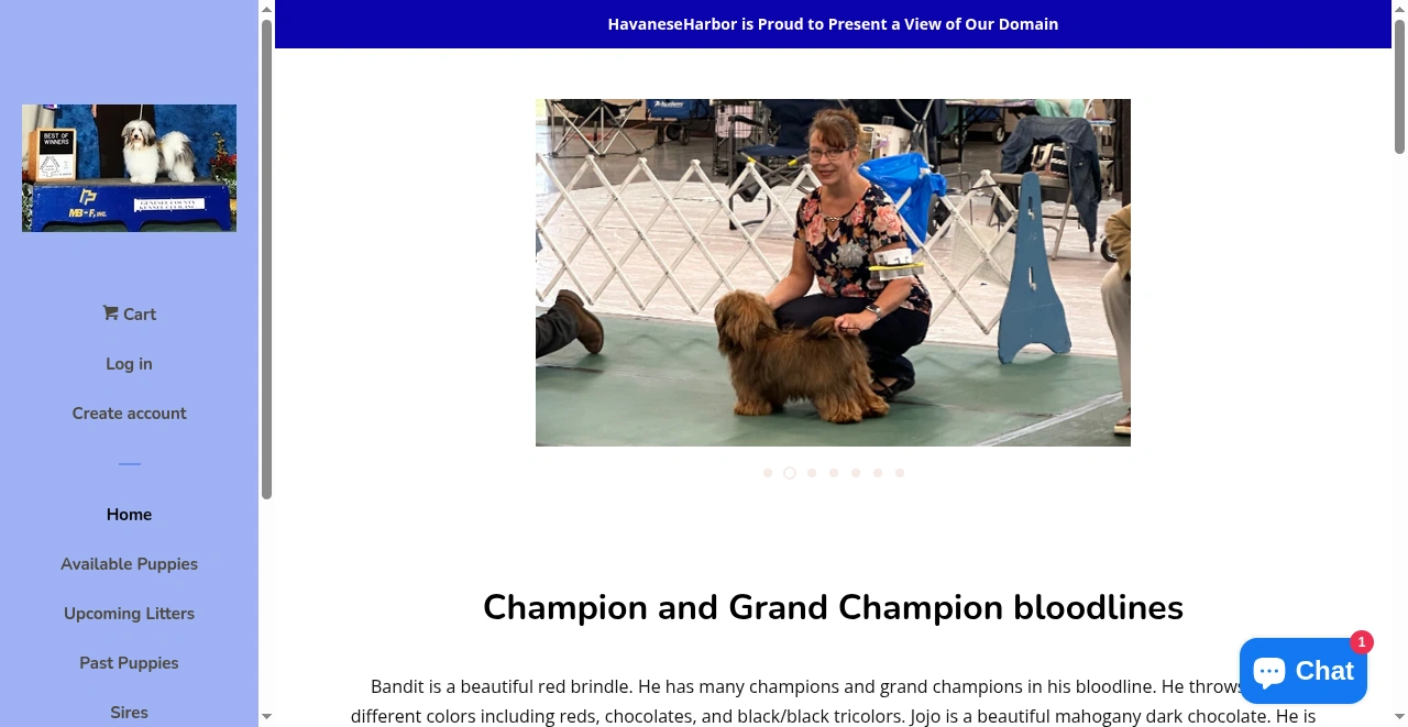 Havaneseharbor – havaneseharbor.net website screenshot