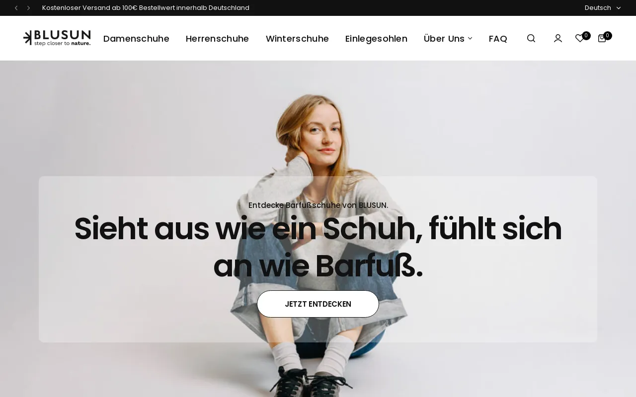 BLUSUN website screenshot