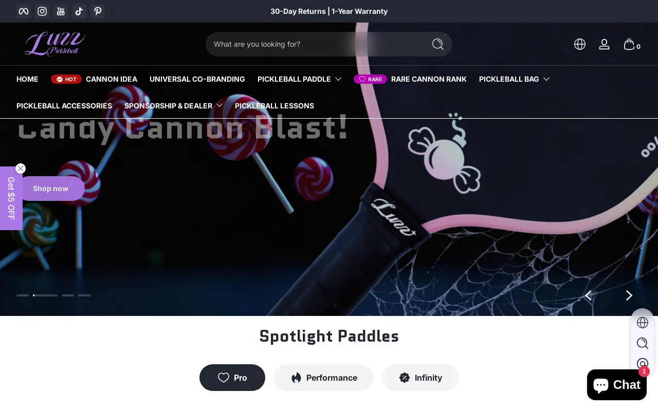 Luzzpickleball screenshot