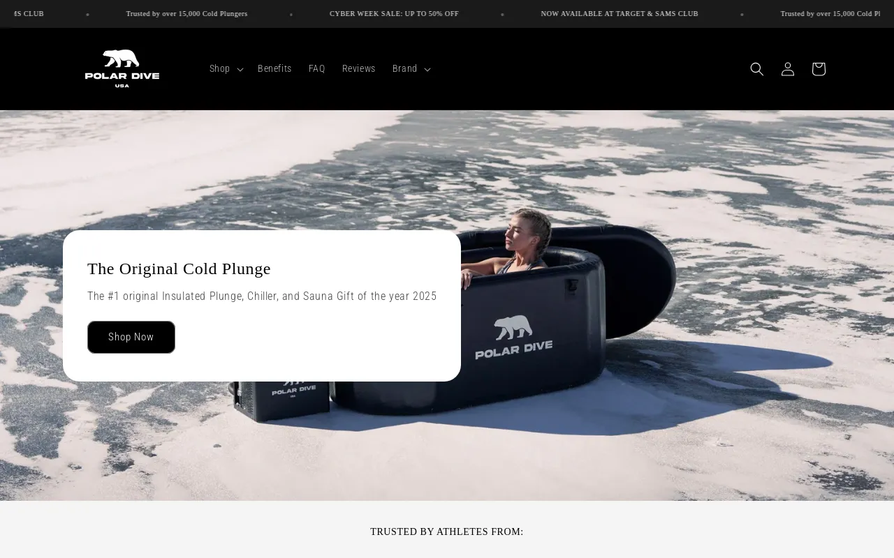 Polar Dive USA screenshot