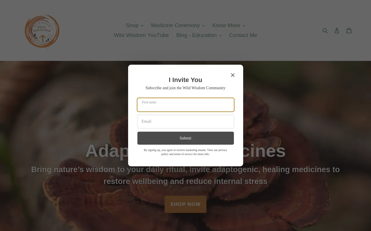 Daisy Wild Wisdom– Daisy screenshot