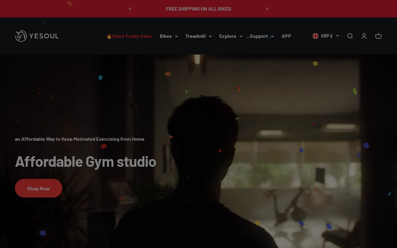 YESOUL® Exercise Bike screenshot