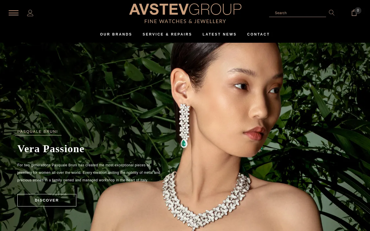 AVSTEV Group screenshot